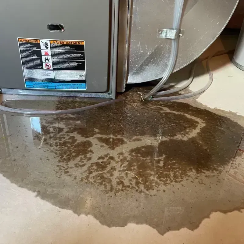 Appliance Leak Cleanup in Alexander County, IL